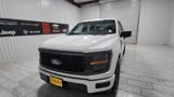 New 2025 Ford F150 STX image 3