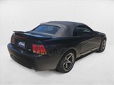 Used 1999 Ford Mustang Cobra image 5