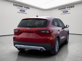New 2025 Ford Escape Active image 5
