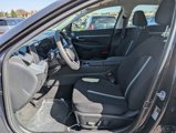 New 2025 Hyundai Sonata SEL image 5