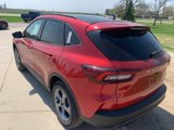 New 2025 Ford Escape ST-Line w/ Tech Pack #1 image 5