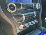 Used 2019 Ford Mustang Coupe w/ Equipment Group 101A image 3