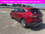 Used 2022 Ford Escape SE w/ Convenience Package image 2