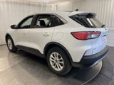 Used 2020 Ford Escape SE image 4