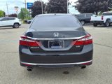 Used 2017 Honda Accord EX-L image 5