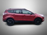 Used 2017 Ford Escape SE w/ Equipment Group 201A image 4