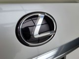 Used 2022 Lexus RX 350 FWD w/ Premium Package image 5