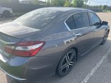 Used 2017 Honda Accord Sport Special Edition image 3