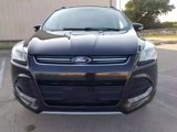 Used 2013 Ford Escape SEL image 2