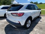 Used 2020 Ford Escape SE image 2