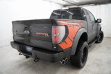 Used 2010 Ford F150 Raptor image 4