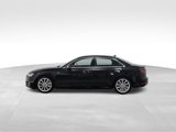 Used 2019 Audi A4 2.0T Premium Plus w/ Premium Plus Package image 2