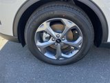 New 2025 Ford Escape ST-Line w/ Tech Pack #1 image 5