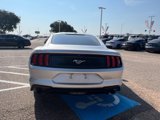 Used 2019 Ford Mustang Coupe image 4