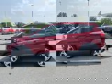 Used 2019 Ford Escape Titanium image 4