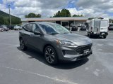 Certified 2022 Ford Escape SE w/ SE Sport Appearance Package image 3