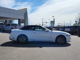 Used 2022 Ford Mustang Convertible w/ Equipment Group 101A image 2