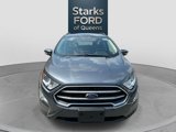 Certified 2022 Ford EcoSport SE w/ SE Convenience Package image 2