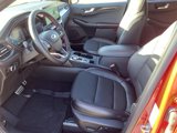 New 2024 Ford Escape ST-Line w/ Tech Pack #1 image 3