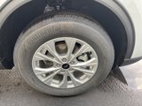 New 2025 Ford Escape Active w/ Tech Pack #1 image 6