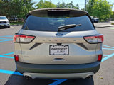 Used 2022 Ford Escape SEL image 6
