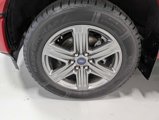 Used 2020 Ford F150 XLT w/ Equipment Group 302A Luxury image 3