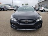 Used 2017 Honda Accord Sport Special Edition image 3