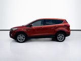 Used 2019 Ford Escape SE image 4