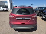 Used 2013 Ford Escape SEL image 4