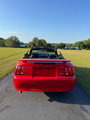 Used 2004 Ford Mustang Premium image 5