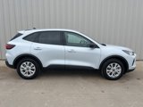 New 2025 Ford Escape Active w/ Tech Pack #1 image 4