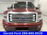 Used 2013 Ford F150 Platinum image 2