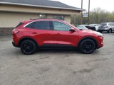 Used 2020 Ford Escape SE image 6