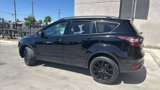 Used 2017 Ford Escape SE w/ SE Sport Appearance Package image 5