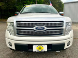 Used 2010 Ford F150 Platinum image 3