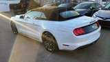 Used 2023 Ford Mustang Premium image 6