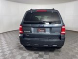 Used 2009 Ford Escape XLT image 5