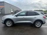 Used 2022 Ford Escape SE w/ Convenience Package image 3