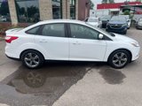Used 2014 Ford Focus SE w/ SE Sport Package image 6