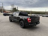 Used 2022 Ford F150 XL w/ STX Black Appearance Package image 5