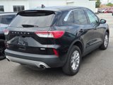 Used 2020 Ford Escape SE image 4
