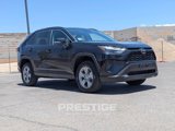 Used 2024 Toyota RAV4 XLE image 4