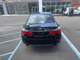Used 2015 Honda Accord Sport image 6