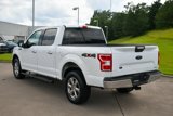 Used 2020 Ford F150 XLT w/ Equipment Group 302A Luxury image 4