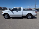Used 2013 Ford F150 XLT w/ Luxury Equipment Group image 3