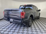 Used 2016 Ford F150 XLT w/ Equipment Group 302A Luxury image 5