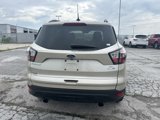 Used 2018 Ford Escape SE w/ SE Sport Appearance Package image 4