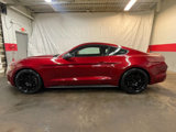 Used 2015 Ford Mustang Coupe w/ Equipment Group 051A image 5