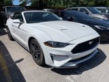 Used 2022 Ford Mustang Premium image 4