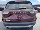Used 2021 Ford Escape SEL w/ Technology Package image 4